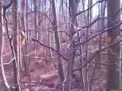 Naturen omkring Krusaa