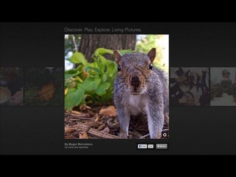 A Camera That Focuses After the Shot