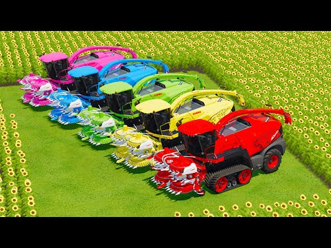 CUT SUNFLOWERS & MAKE CHAFF WITH CLAAS FORAGE HARVESTERS & JOHN DERRE TRACTORS - Farming Simulator 2
