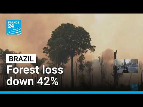 Brazil: Amazon deforestation at 40-year low
