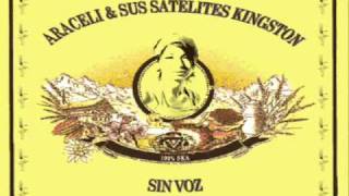 Satélite Kingston - Sin Voz