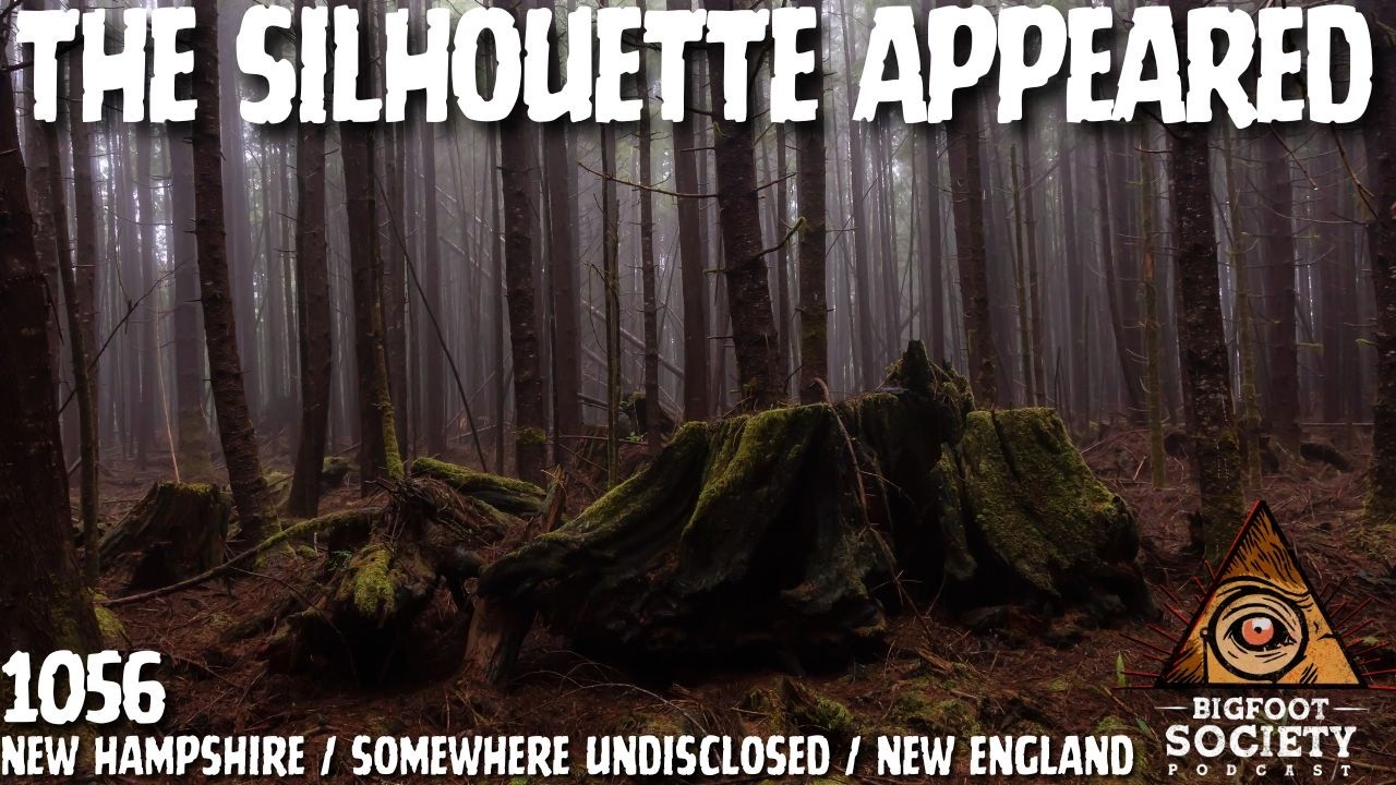 White Mountains of New Hampshire: Cloaking, Telepathy, and a Massive Forest Encounter