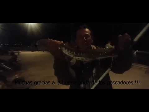 14/15 marzo 2026 - Monumento a Colon - Pesca nocturna de Dany - Esta vez hubo algo de pique.