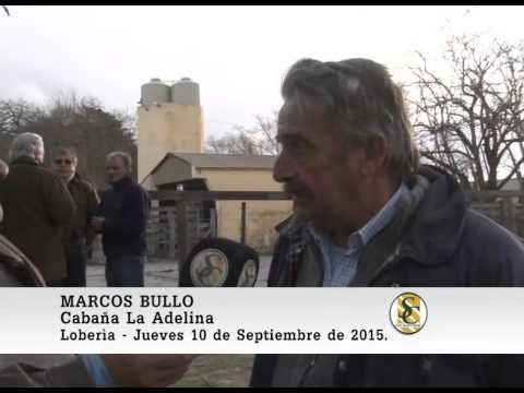 10-09-15 Nota Marcos Bullo - Cabaña La Adelina y Santa Rosa - Loberìa.