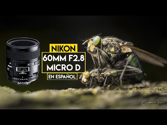 Vídeo relacionado con Anton & Holga - Objetivo de 60 mm f/8, Lente de Enfoque Manual para cámara Nikon DSLR