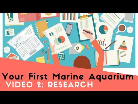 How To Set Up Your First Marine (Saltwater) Aquarium, Video 2: Doing Your Research