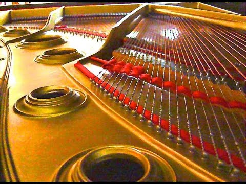 Promotional video thumbnail 3 for Jerry Caringi