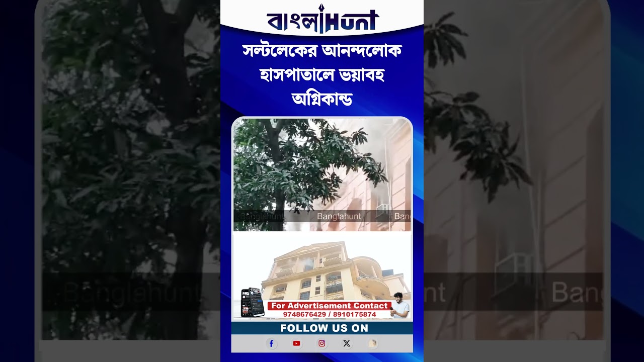 The Art of Baking: From Classic Bread to Artisan Pastries