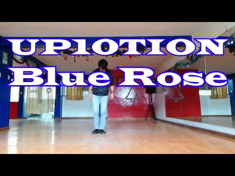 UP10TION(업텐션) - Blue Rose / Dance Cover