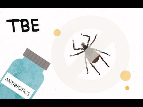 TBE (Tick-borne encephalitis)