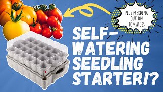 Lee Valley Self Watering Seedling Starter + Planting TOMATOES (including the GIANT CRIMSON)