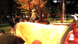 preview picture of video 'Battesimo a Cavallo con le Giacche Verdi a San Simone (Codroipo)'