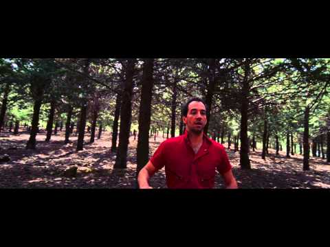 Albert Hammond Jr. - Losing Touch [OFFICIAL VIDEO]