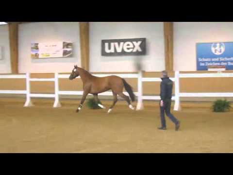 Caipirinha by Cash and Carry-Lord Z-Fasolt, *2013, licensing Munich