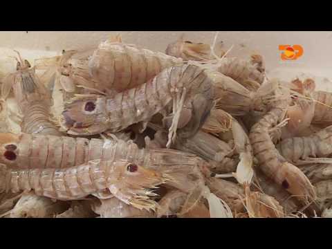 Ne Shtepine Tone, 6 Mars 2017, Pjesa 3 - Top Channel Albania - Entertainment Show