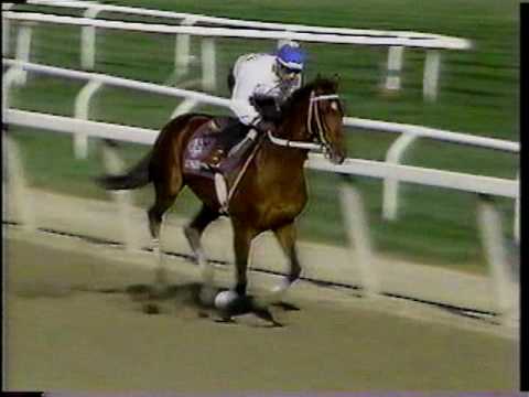 1988 Meadowlands Cup Handicap - Pre-race