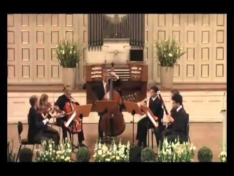 Video 12