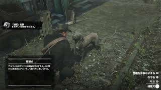 RDR2 5周目 #138