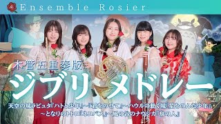 Download lagu 【久石譲】ジブリメドレー【木管五重奏】 mp3 Download lagu 【久石譲】ジブリメドレー【木管五重奏】 mp3