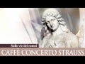 Caffè Concerto Strauss - AVE MARIA - Franz ...