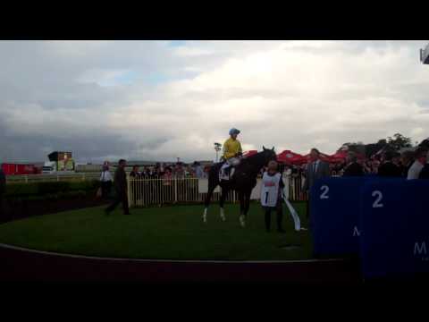 Scenic Shot wins his second Doomben Cup