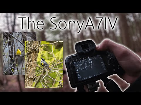 I BOUGHT THE SONY A7IV! POV bird photography | Vlog #9