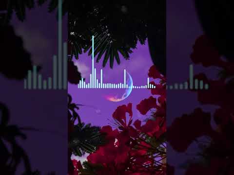 Video thumbnail xtA6yRS5WC0