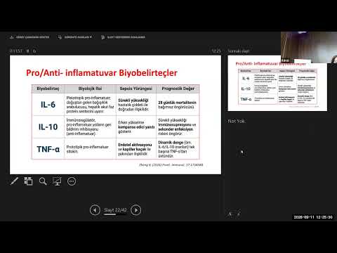 Sepsiste Bütünleşik Yönetişim, 11 Eylül 2026