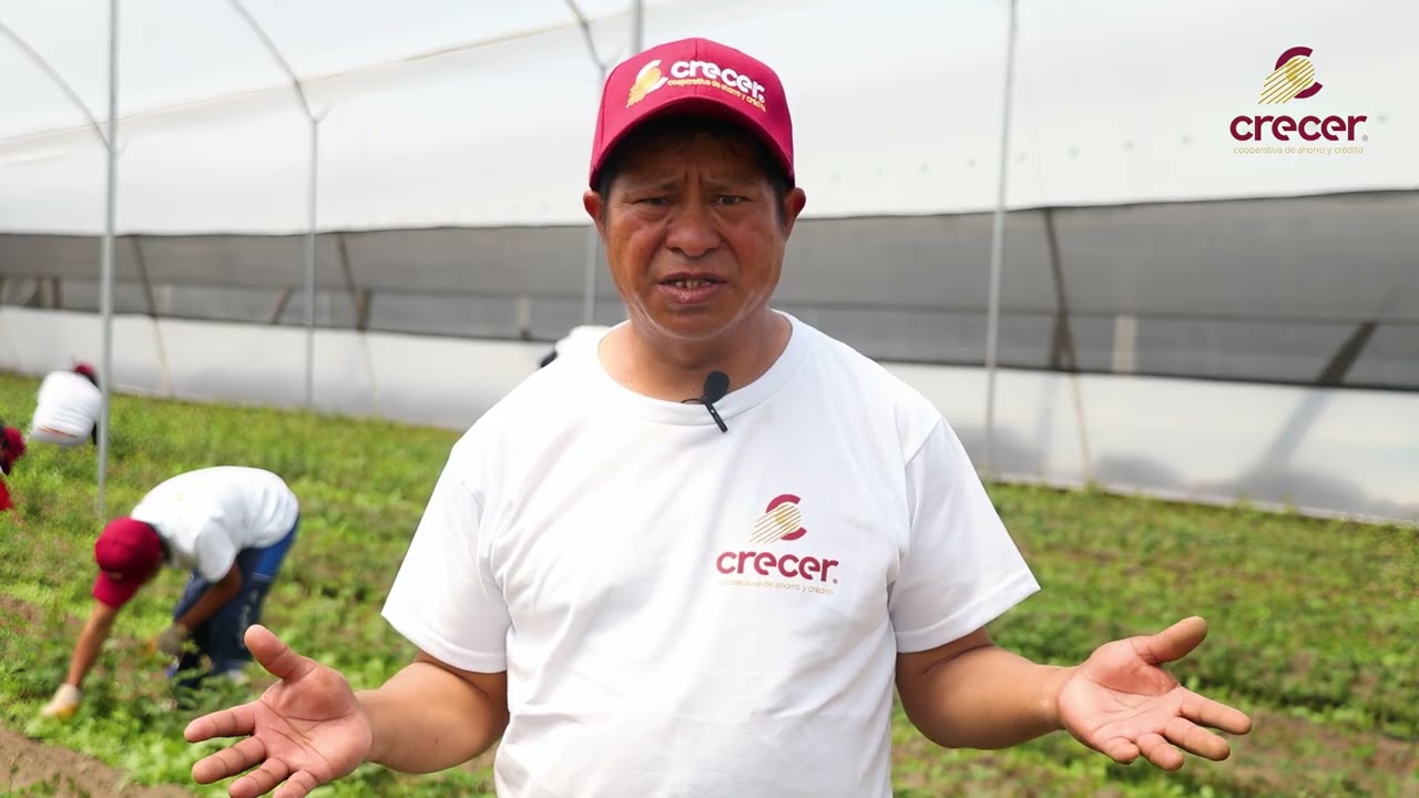 Video Artia 4