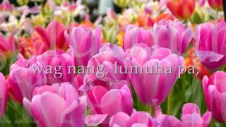 Hagkan by Sharon Cuneta.wmv