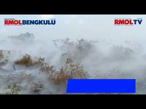 Sudah 4 Hari, Api Belum Bisa Dipadamkan