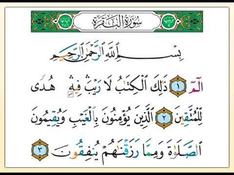 تلاوة تعليمية من القرآن الكريم مع التفسير الميسر