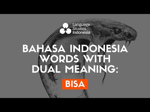 Learn Indonesian Words with Dual Meaning - "Bisa"