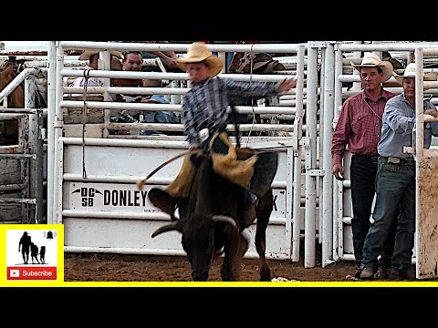 Calf & Steer Riding - 2022 Saint's Roost Ranch Rodeo | Saturday