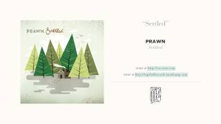 Prawn - Settled video