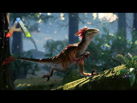 Domando um BOM RAPTOR e sobrevivendo em ARK Servidor de PVP