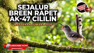 Download lagu 🔴 Live Masteran Ciblek Gacor Ngebren Panjang AK-47 Masteran Juwara 2026 Variasi Bren Cililin mp3