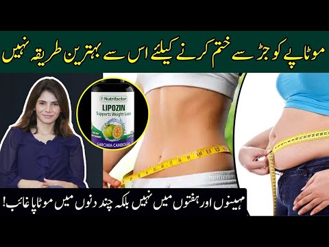 Fast Weight Loss Supplements & diet plan in Urdu/ Hindi | Lipozin weight loss review | Ayesha Nasir