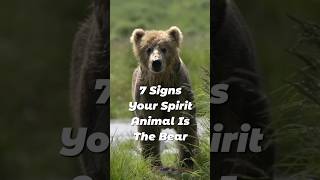 Download lagu Bear Spirit Animal: 7 Signs They're Yours #bear #bearspiritanimal #beartotem #shorts mp3