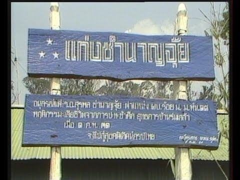 คลิกเพื่อดูคลิปวิดีโอ