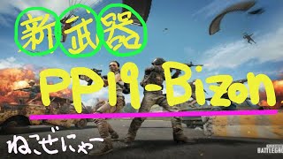 【PUBG  PS4 】おじおじの佐賀弁実況　【新武器】PP-19Bizon(後半）