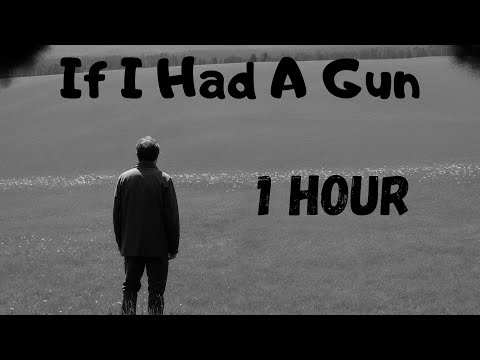 1 HOUR | Noel Gallagher | If I Had A Gun