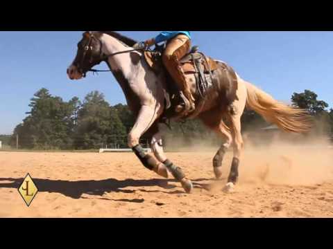 Ethyl's Reining Performance