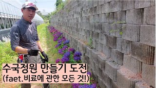 식재 후 3년만에 수국정원만들기 도전~(faet.비료에 관한 모든것!)