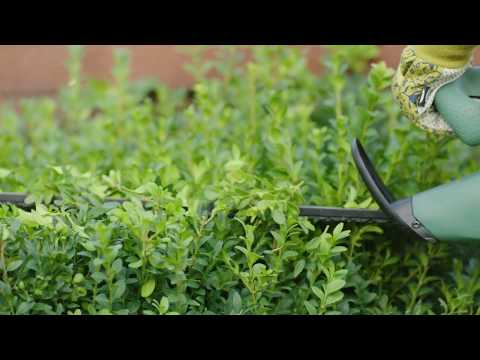 Кущоріз Bosch EasyHedgeCut 45 (0.600.847.A05)