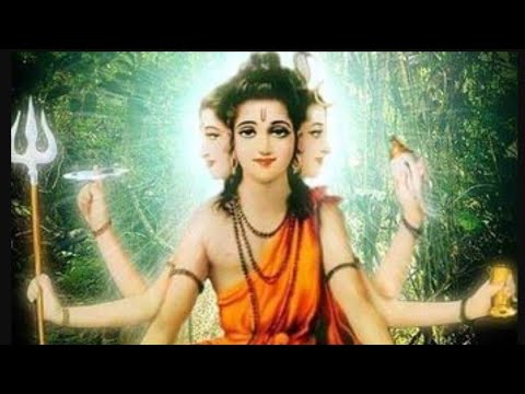 Understanding 24 teachers of Lord Dattatreya