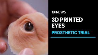The new 3D printing technology revolutionising artificial eyes for patients | ABC News
