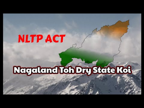 Nagaland toh dry state koi (NLTP Act) | #Nagamese Song with lyrics 