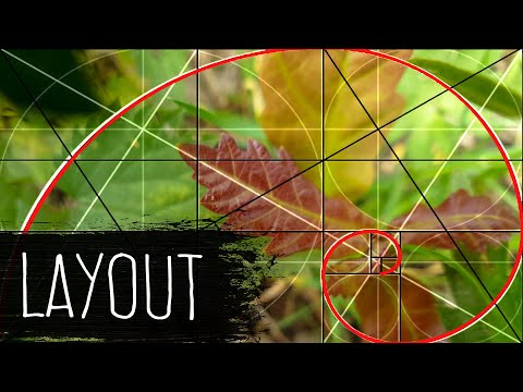 Aquarium Layout Basics