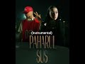 Nicole Cherry Puya Paharul Sus Instrumental